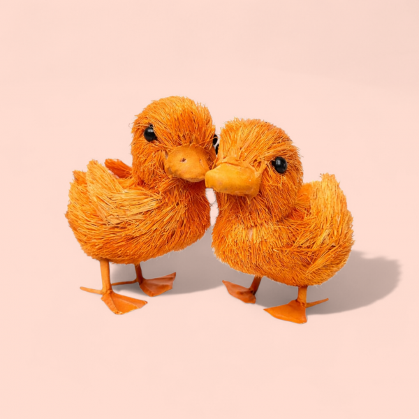 Patitos naranja (6 ud)